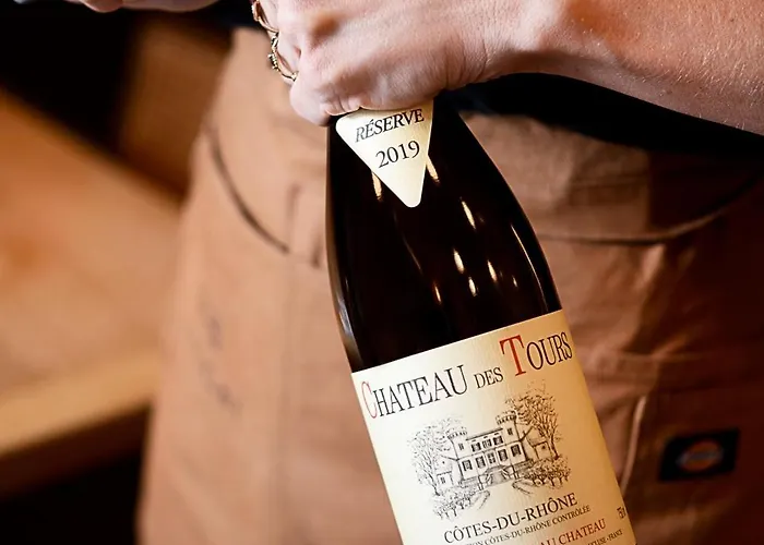 塔吉加特酒店 里昂